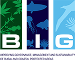BIG Project Logo